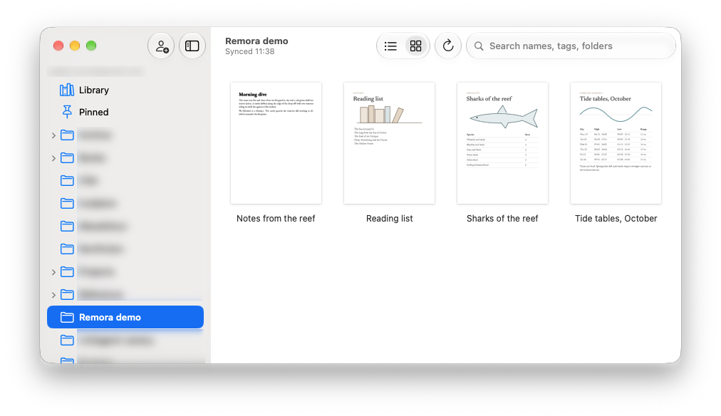 Remora's library showing a folder of PDFs and an EPUB as thumbnails